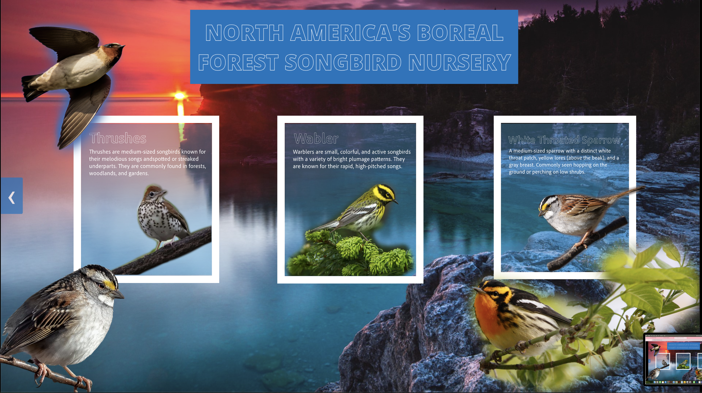 Interactive park map with real-time data overlays